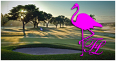 Website Design West Palm Beach, image 1